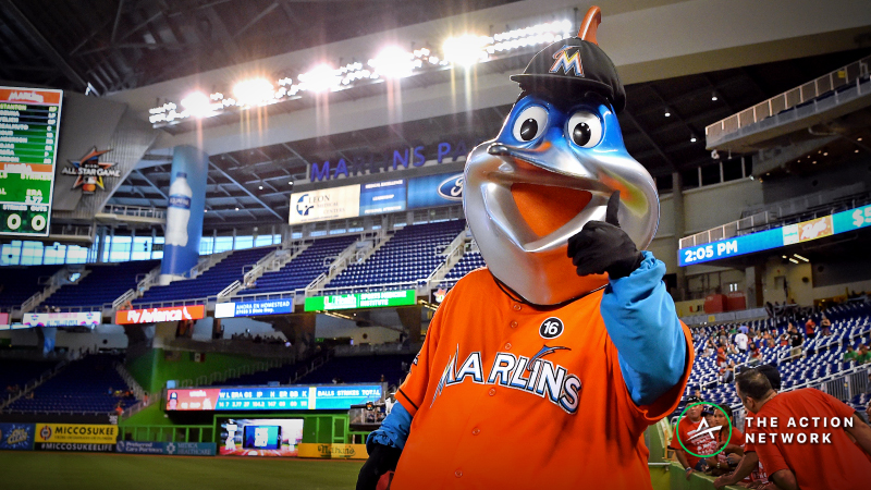 miami marlins jersey guy