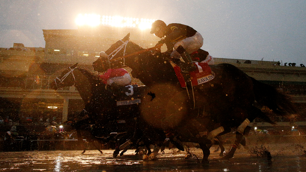 2020 Pegasus World Cup Picks, Bets and Exotics Preview Where to Find