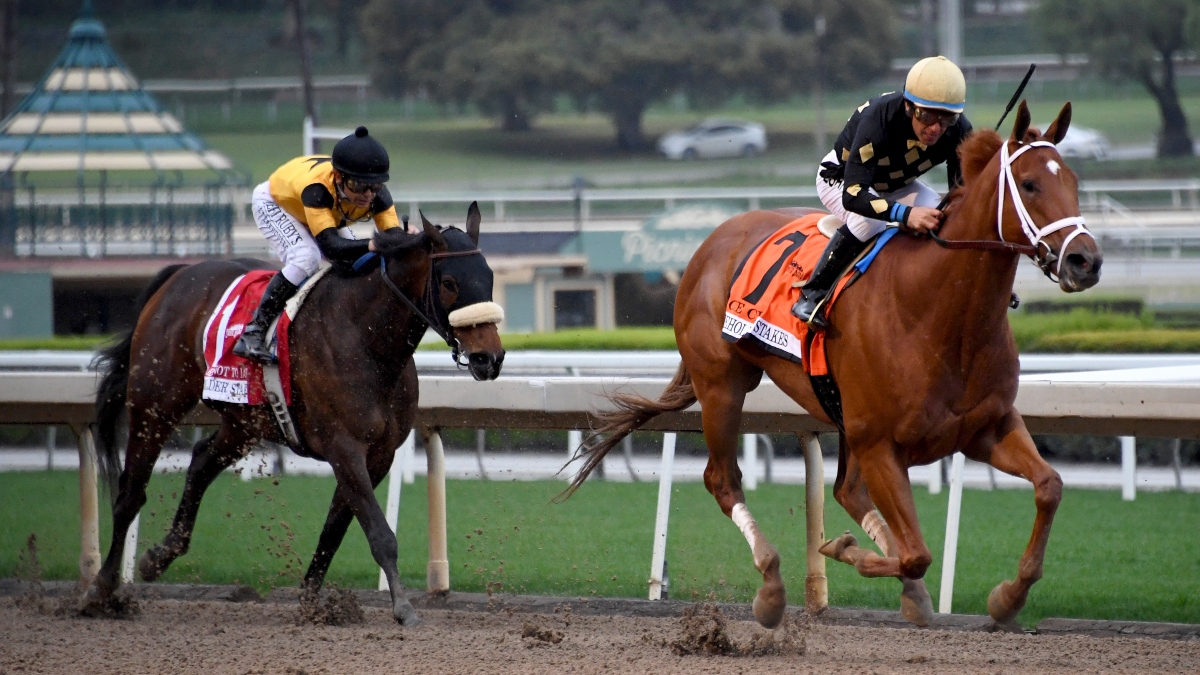 Saturday Horse Racing Picks: Louisiana Derby Day Card at Fair Grounds, Stakes Races at Oaklawn 